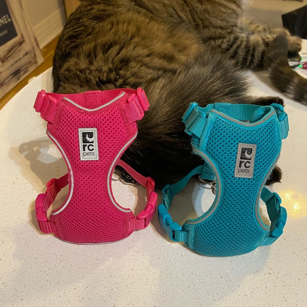 Blue and pink small RC Pets harnesses for cats!